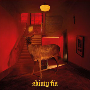 FONTAINES D.C. – ‘Skinty Fia’ cover album