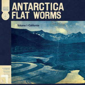 FLAT WORMS- “Antarctica”