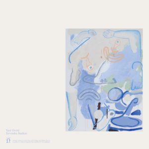 DEVENDRA BANHART- “Vast Ovoid” cover album