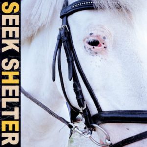 ICEAGE: “Seek Shelter” cover album