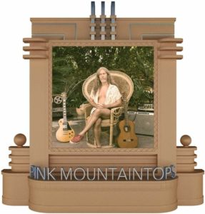 PINK MOUNTAINTOPS – ‘Peacock Pools’ cover album