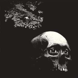OSEES – ‘A Foul Form’ cover album