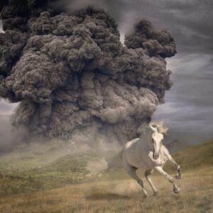 THE WHITE BUFFALO – ‘Year Of The Dark Horse’ cover album