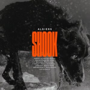ALGIERS – ‘Shook’ cover album