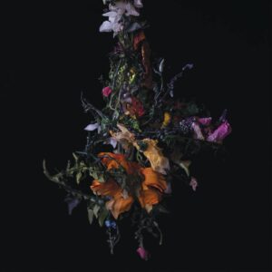 BIG BRAVE – ‘Nature Morte’ cover album